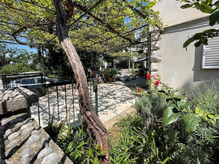 Apartment Nono Moj Ντουμπρόβνικ Εξωτερικό φωτογραφία